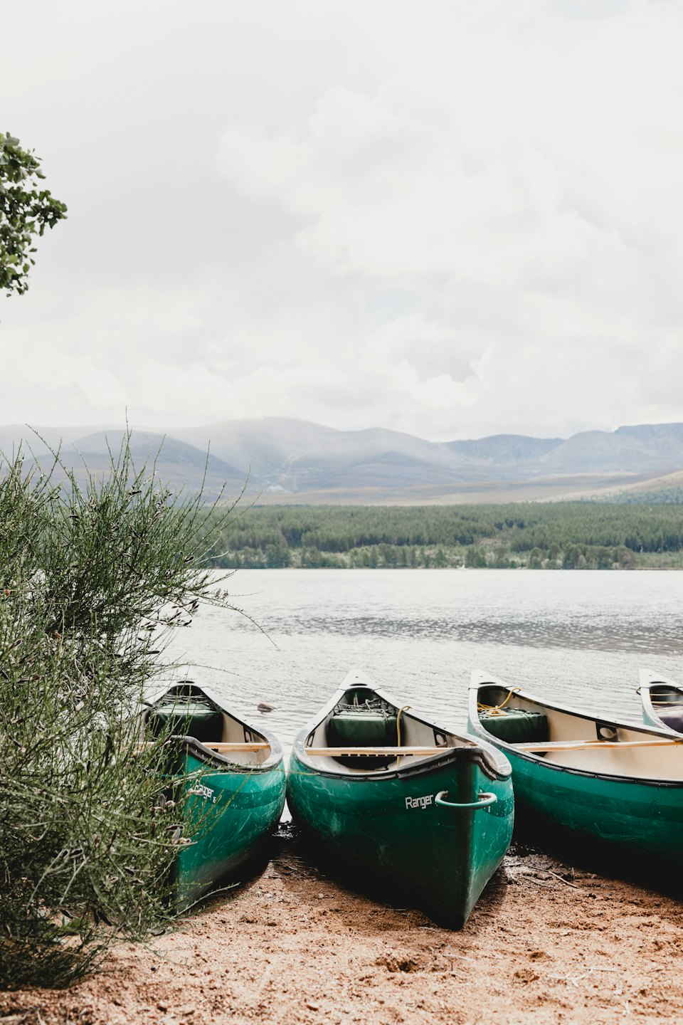 Three green canoes rest on a sandy lakeshore by mountains.