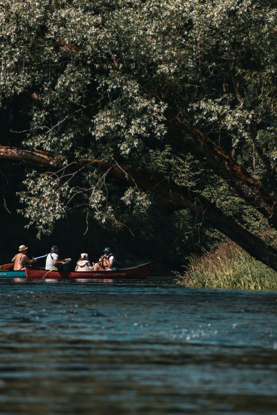 Four people paddle two canoes down a calm river.