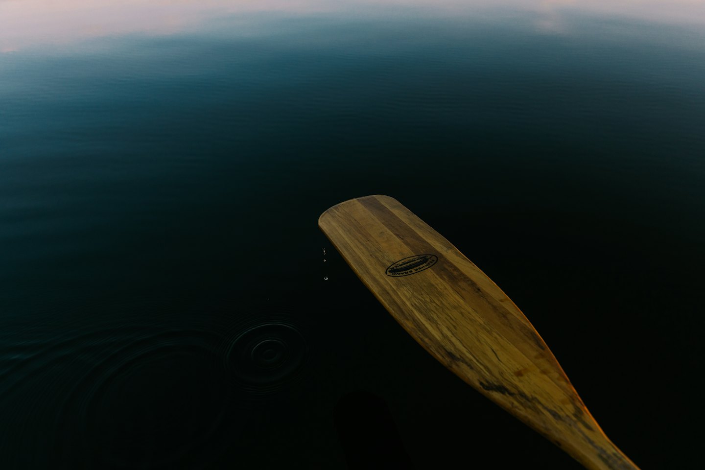 A wooden paddle rests partially submerged in dark water.